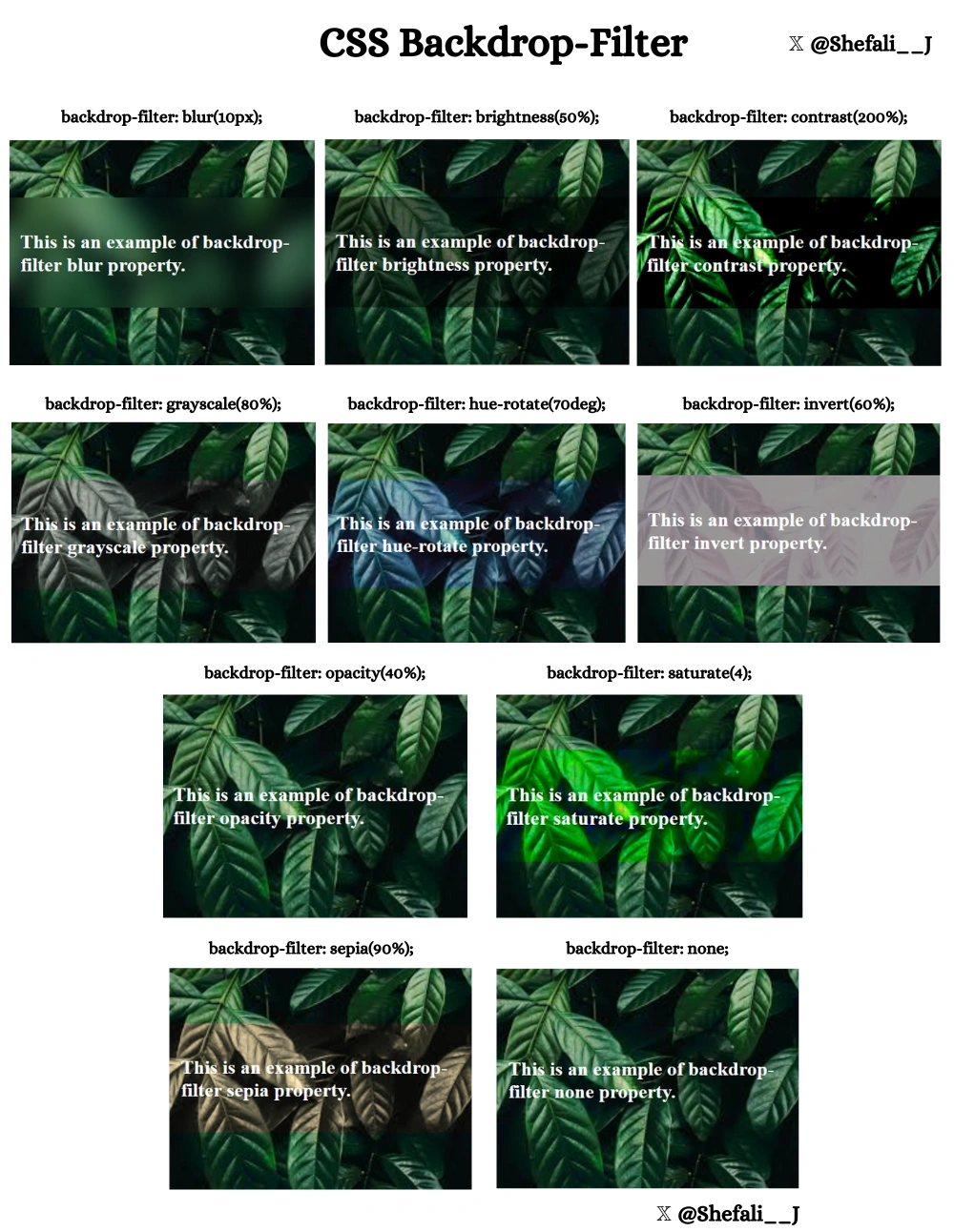 CSS backdrop-filter