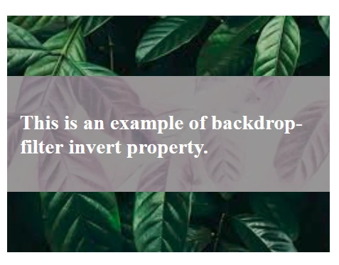 CSS backdrop-filter
