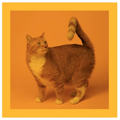 CSS mix-blend-mode