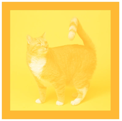 CSS mix-blend-mode