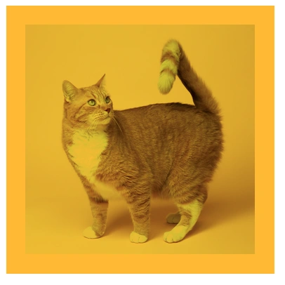 CSS mix-blend-mode