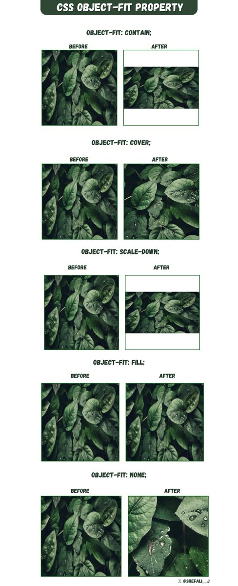 CSS object-fit