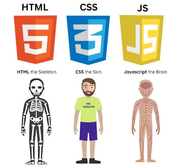 HTML CSS JS analogy